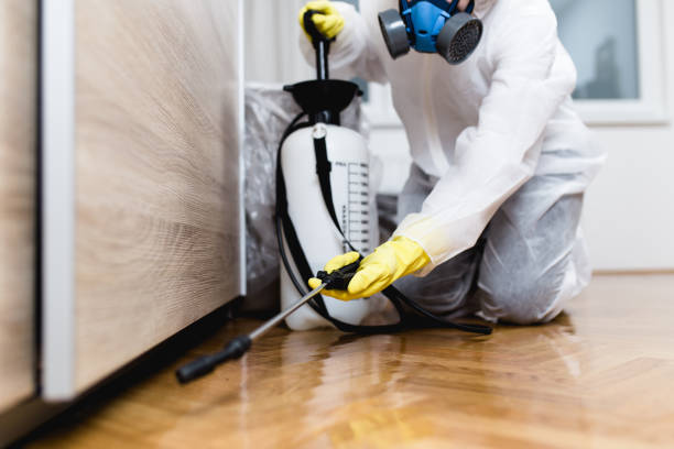 Best Ant Control Services  in Wadley, GA