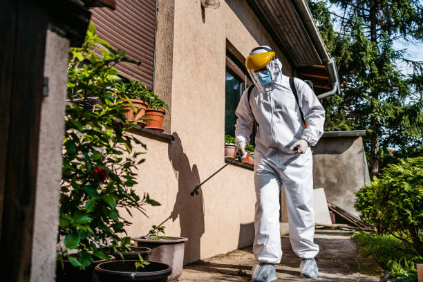 Best Pest Control for Homes  in Wadley, GA