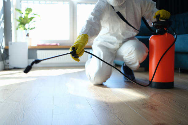 Best Mosquito Control Services  in Wadley, GA