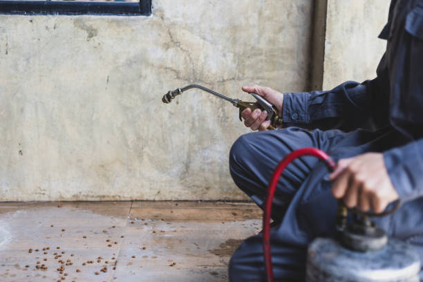 Best Commercial Pest Control Services  in Wadley, GA